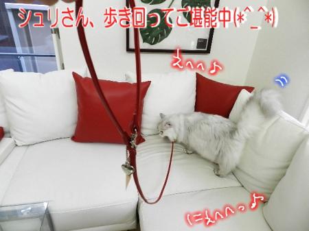 tnkr7