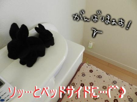 krst8