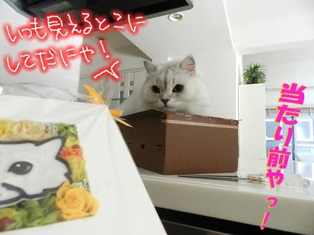 mkbz9