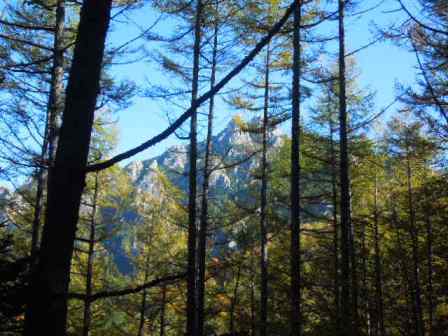 樹間の瑞牆山