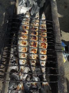 焼きサンマ