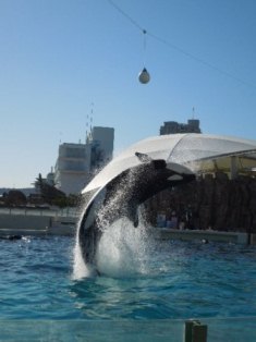 空に向かって