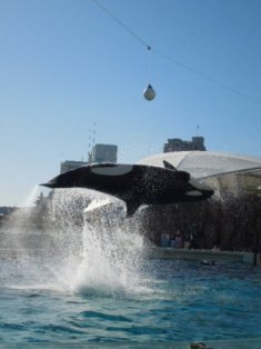 水面と平行