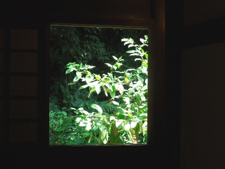 窓