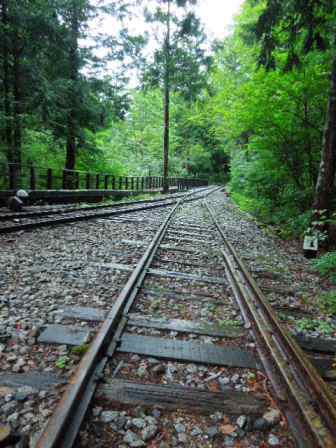 森林鉄道