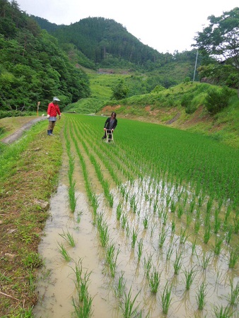 ご指導