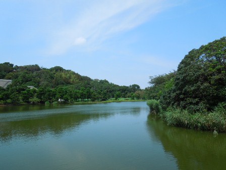 大池
