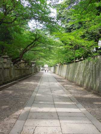 緑の参道