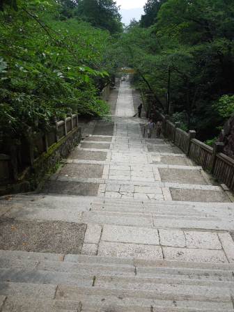 緑の参道階段