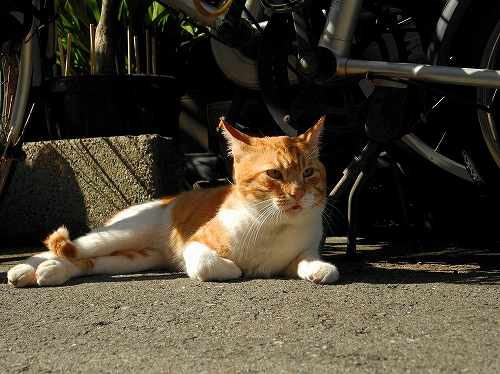 DSCN0370.jpg