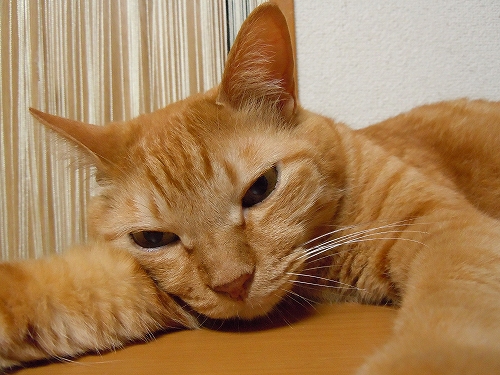 DSCN6207.jpg
