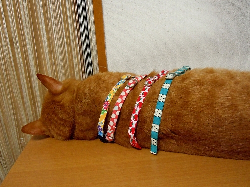 DSCN6250.jpg
