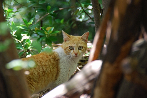 DSC_1028.jpg