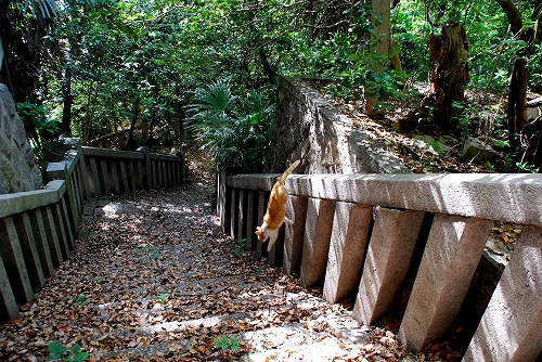 DSC_1033.jpg