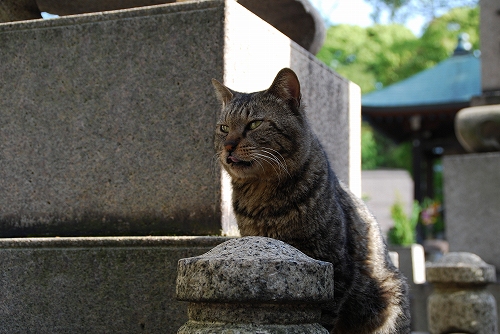 DSC_1075.jpg