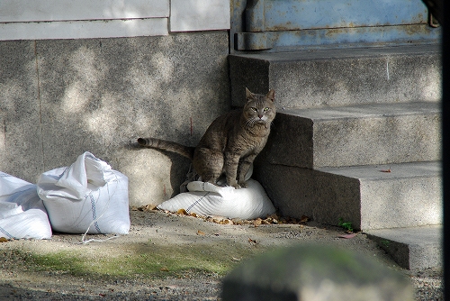 DSC_1095.jpg