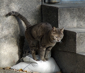 DSC_1097.jpg