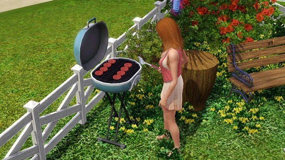 20120523a1.jpg