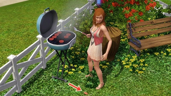 20120523a2.jpg