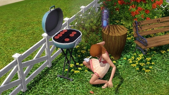 20120523a3.jpg