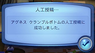 20120616a6.jpg