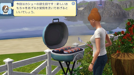 20120617a1.jpg