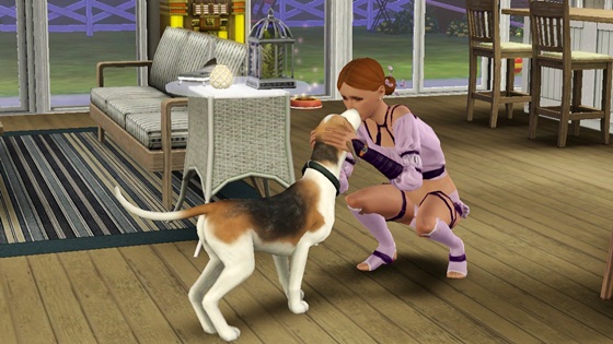 20120617a23.jpg