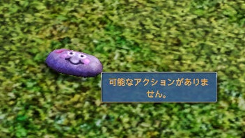 20120617a9.jpg