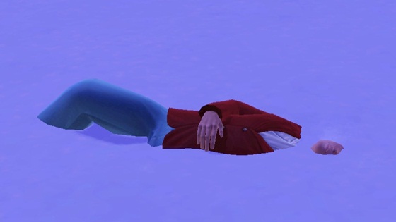 20121226b12.jpg
