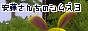 andosims3.jpg