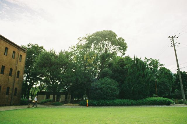151.jpg
