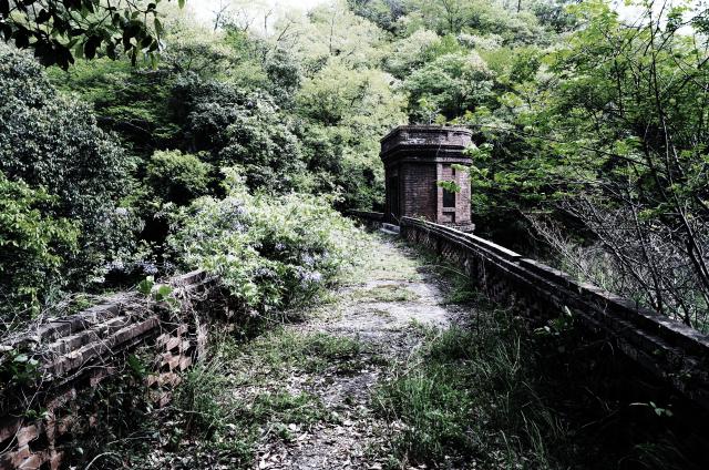 156.jpg