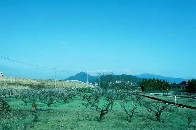 167.jpg