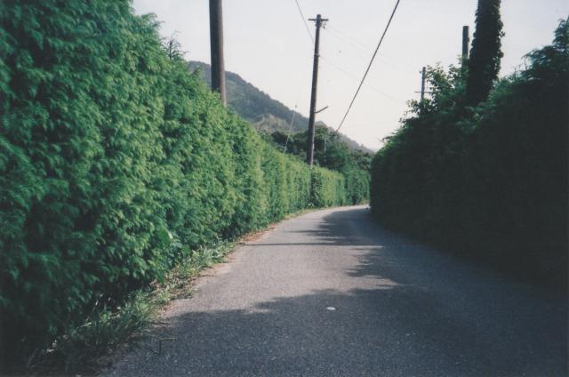 174.jpg