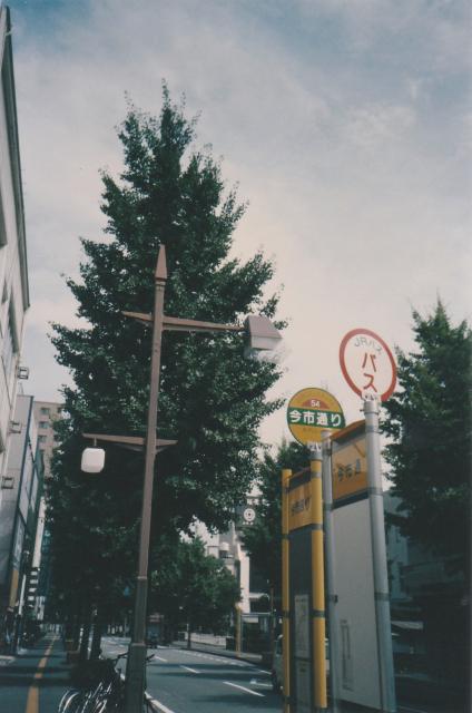 198.jpg