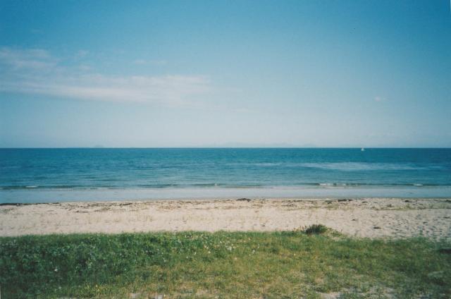 211.jpg