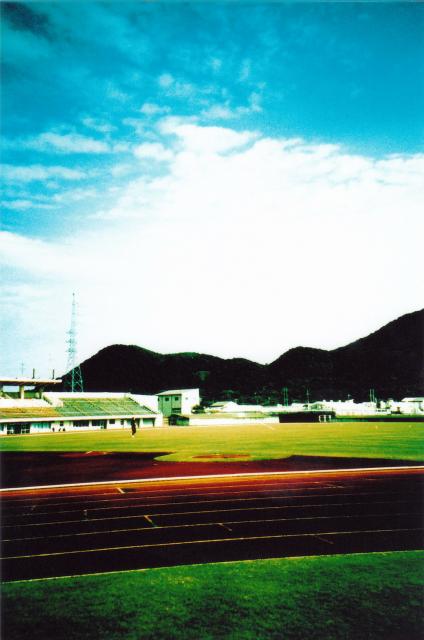 230.jpg