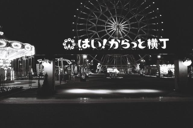 762.jpg