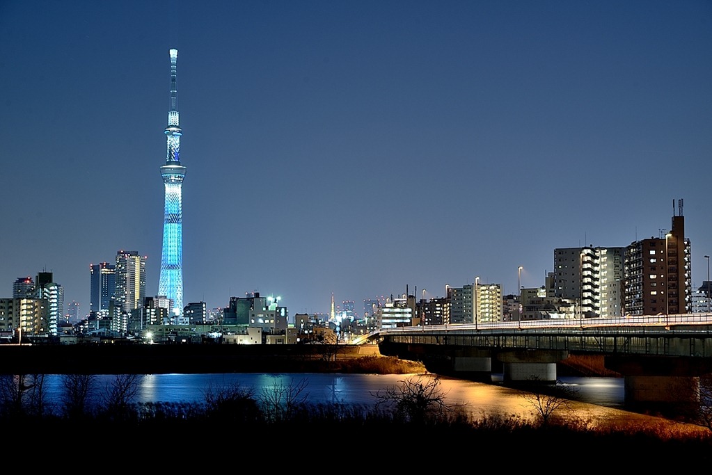 写真撮影あれやこれや 荒川土手から見る東京タワー