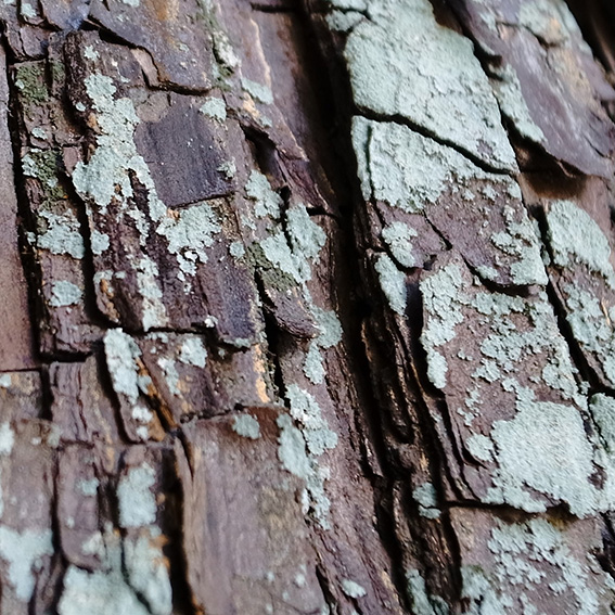 2012_10_16b.jpg