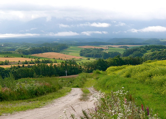 2012_10_22c.jpg