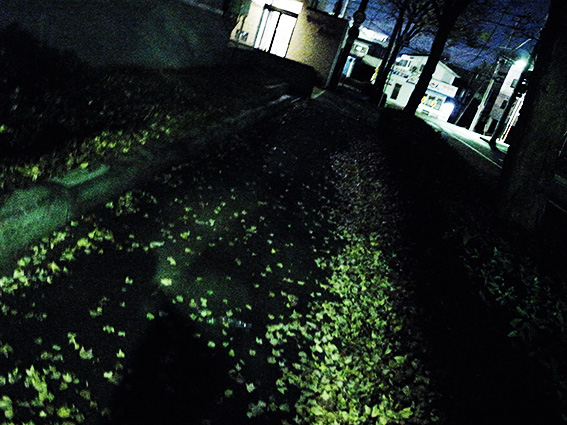 2012_11_28i.jpg