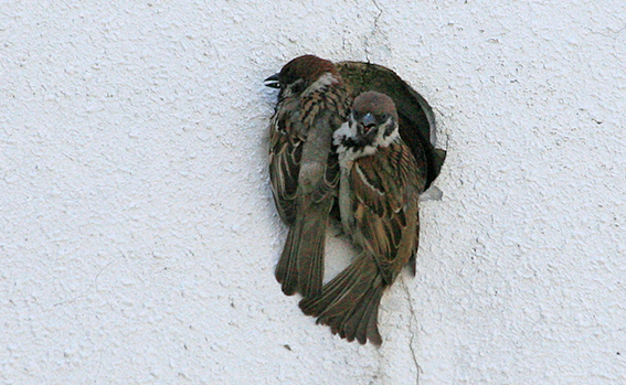 2012_5_27a.jpg