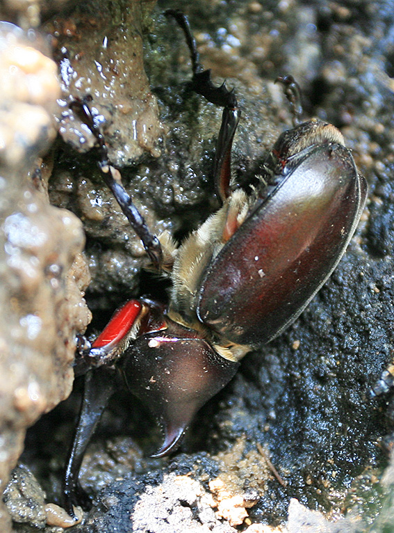2012_7_10n.jpg