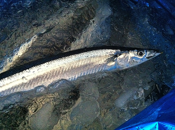 2012_9_8b.jpg