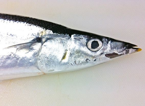 2012_9_8c.jpg