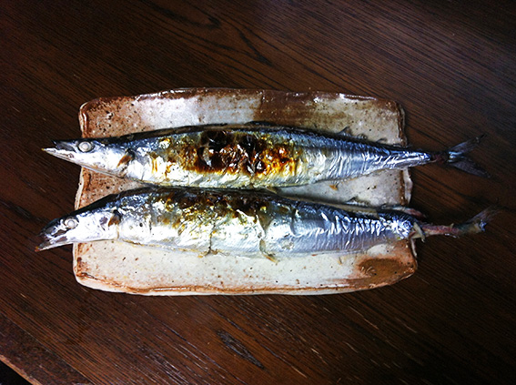 2012_9_8d.jpg