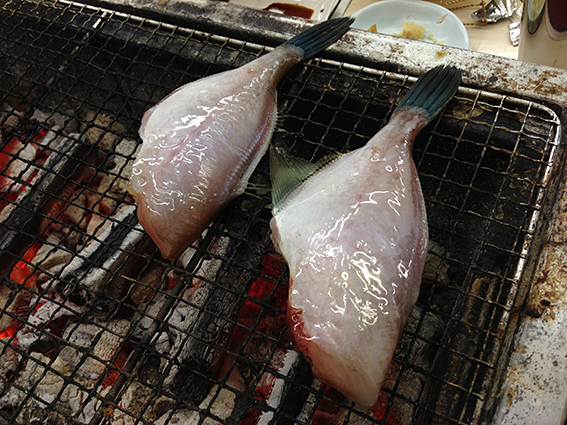 2013_1_13ag.jpg