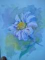 moblog_05ca21a5.jpg