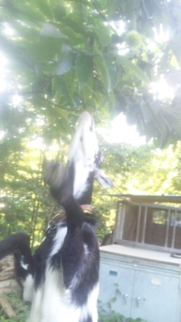 120805_160808.jpg
